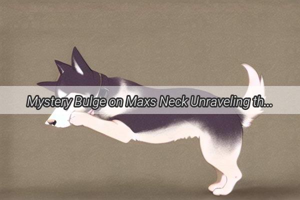 Mystery Bulge on Maxs Neck Unraveling the Tale of a Curious Canine Condition